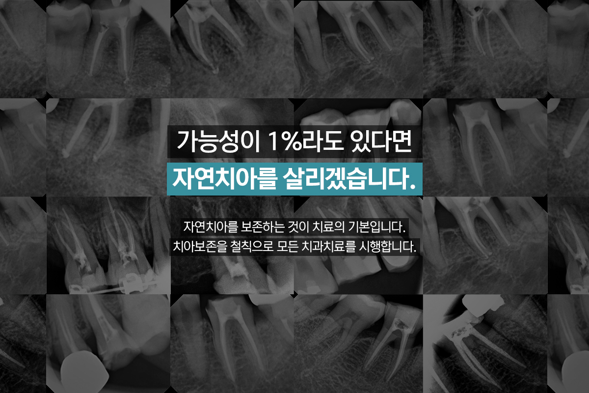 m_slide02